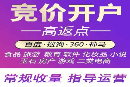 深度解读：百度推广运营的五大成功案例